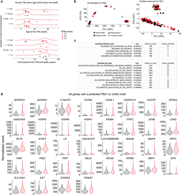 Extended Data Fig. 7 |