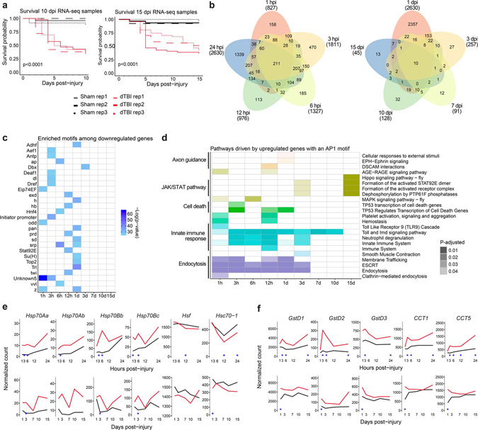 Extended Data Fig 1 |