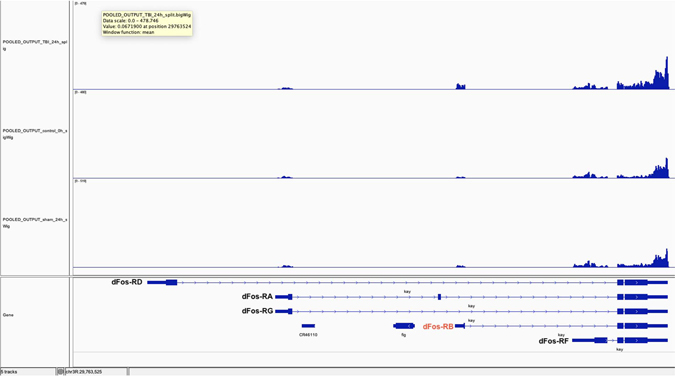 Extended Data Fig. 8 |