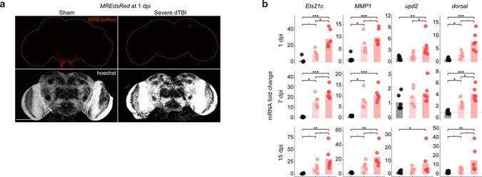 Extended Data Fig. 2 |