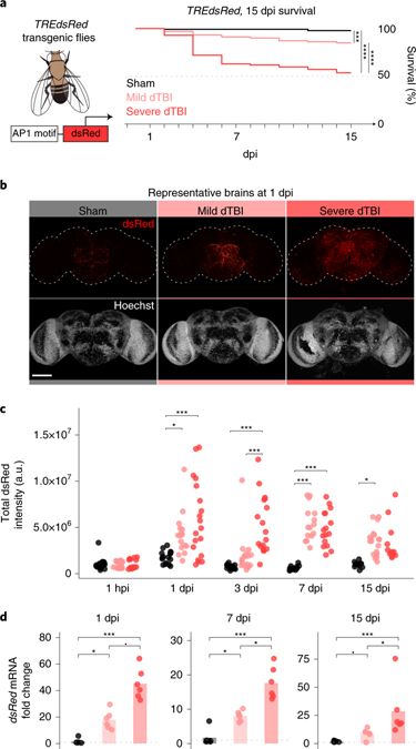 Fig. 2 |