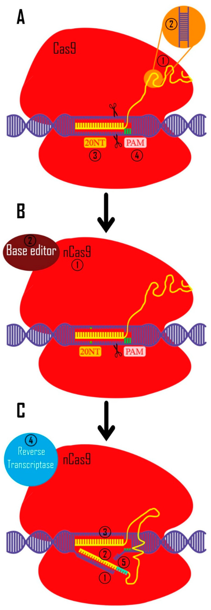 Figure 2