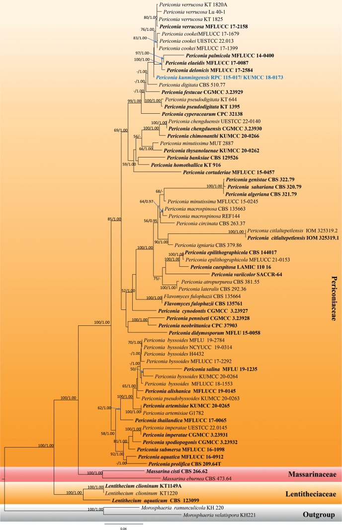 Figure 3.