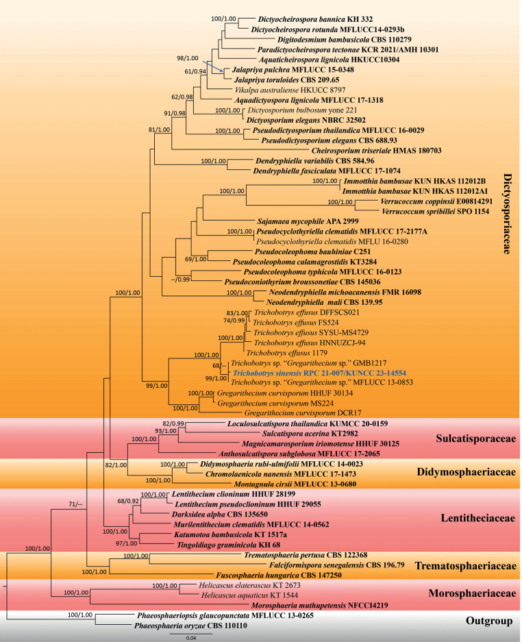 Figure 2.