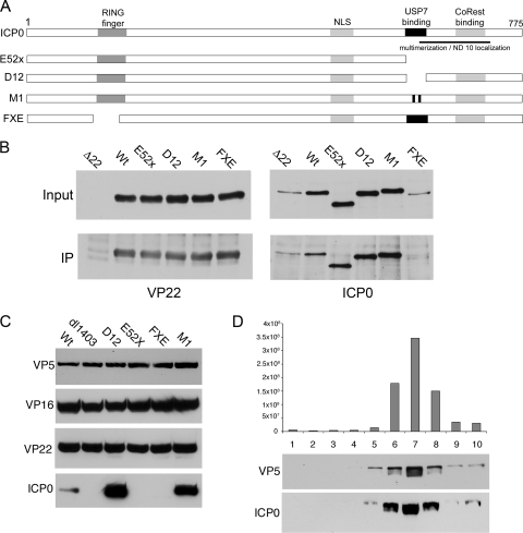 FIG. 8.