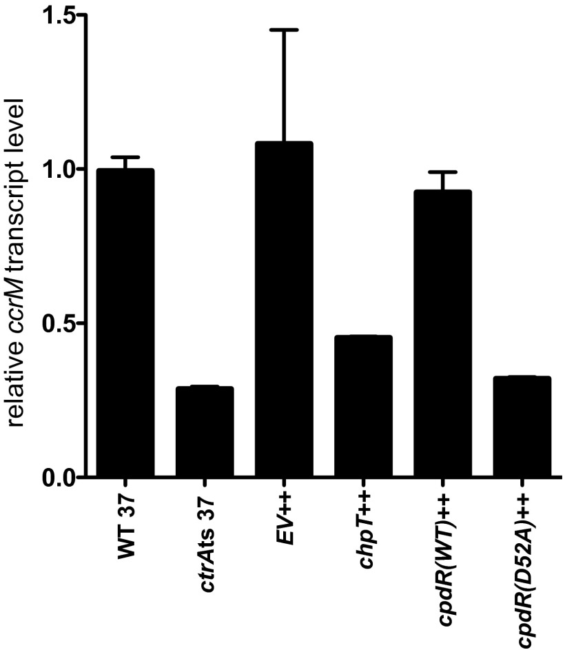 Fig. S3.