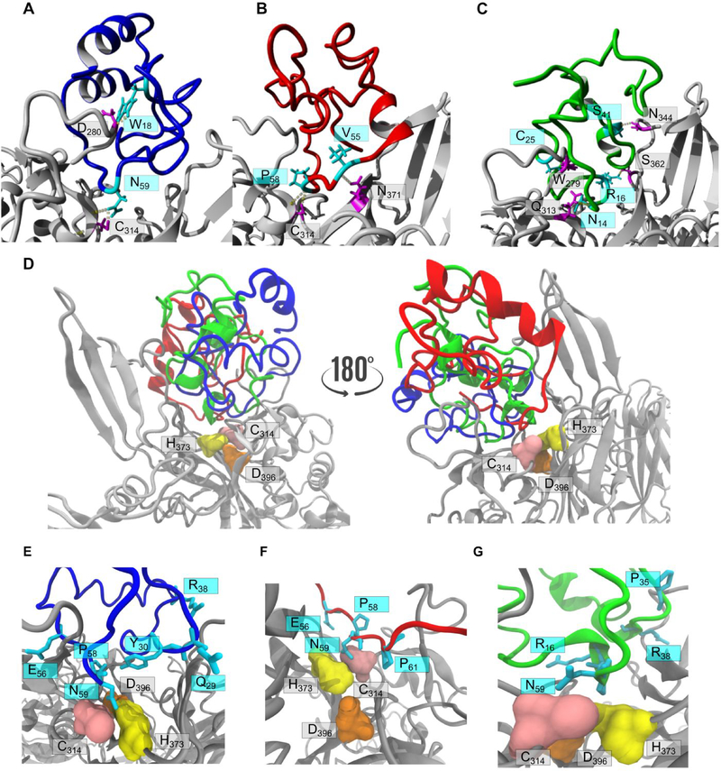 Figure 5.