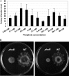 Fig 2
