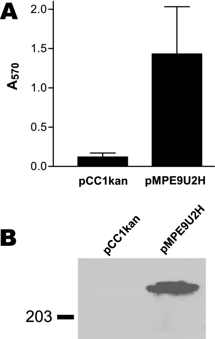 FIG. 5.