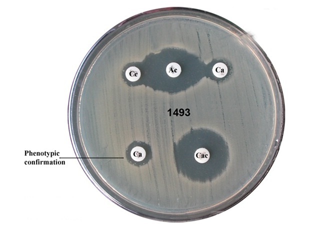 [Table/Fig-3]: