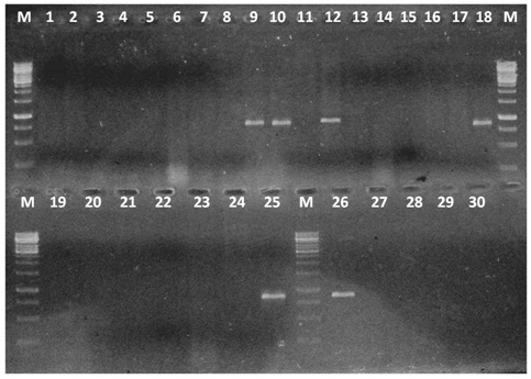 [Table/Fig-6]: