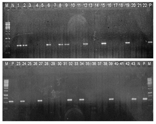 [Table/Fig-7]: