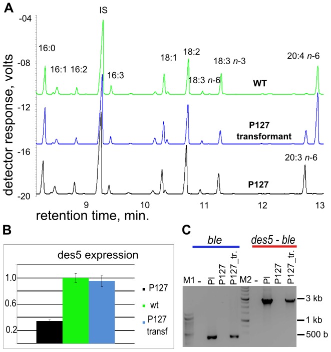 Figure 6