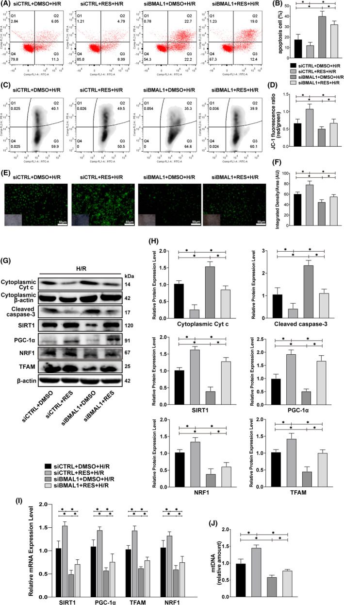 FIGURE 6