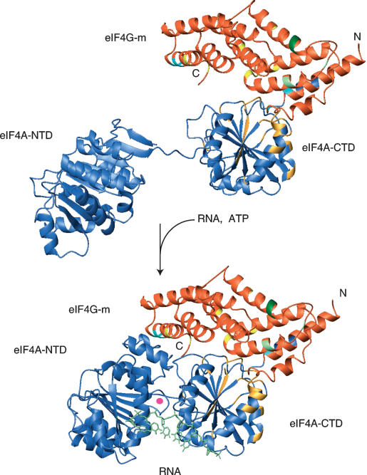 Figure 5.