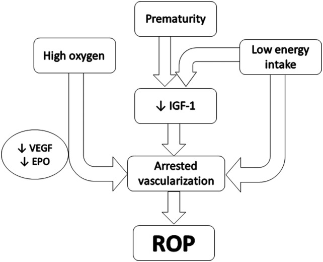 Figure 2