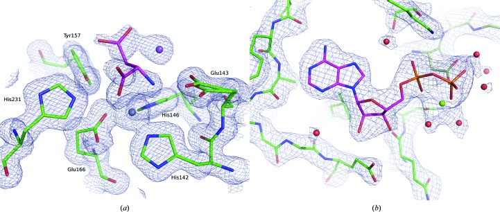 Figure 11