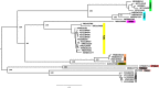 FIG 1
