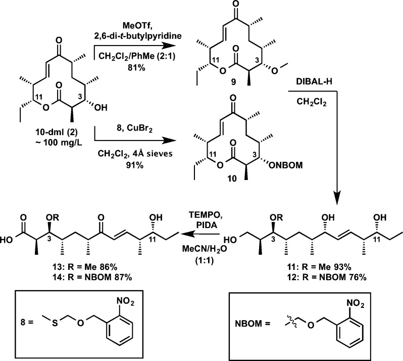 Scheme 2