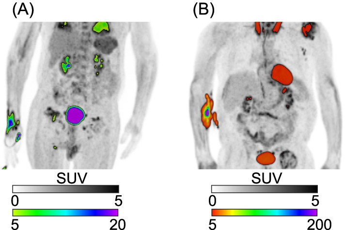 Fig. 7