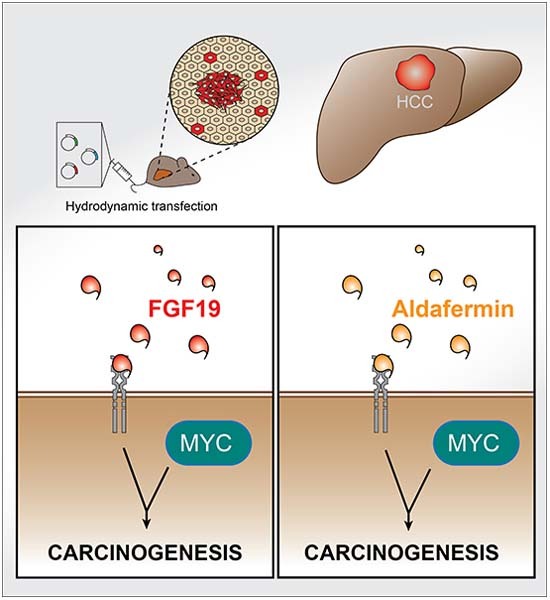 graphic file with name 44321_2023_21_Figa_HTML.jpg