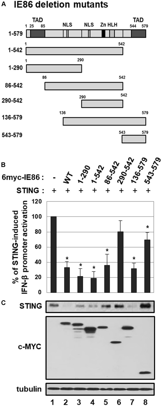 FIGURE 9