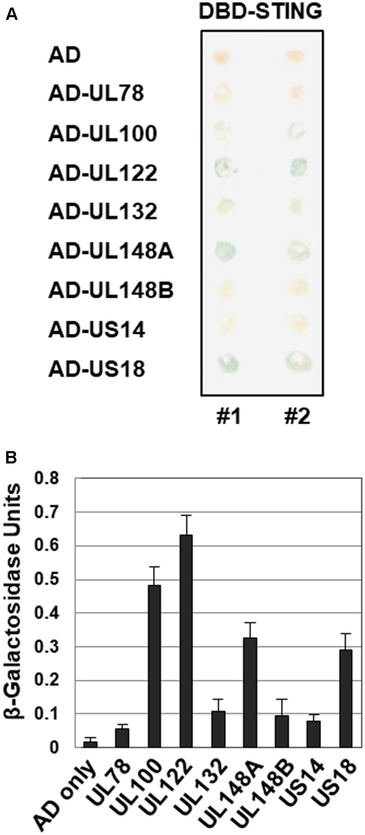 FIGURE 4