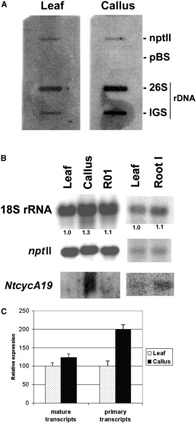 Figure 6.