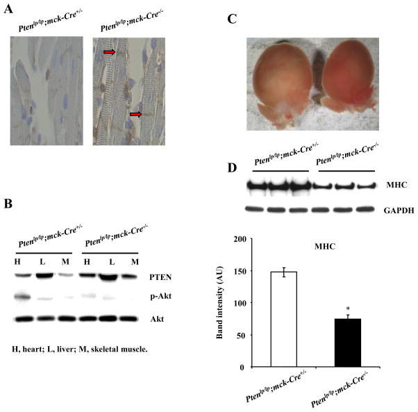 FIG. 6