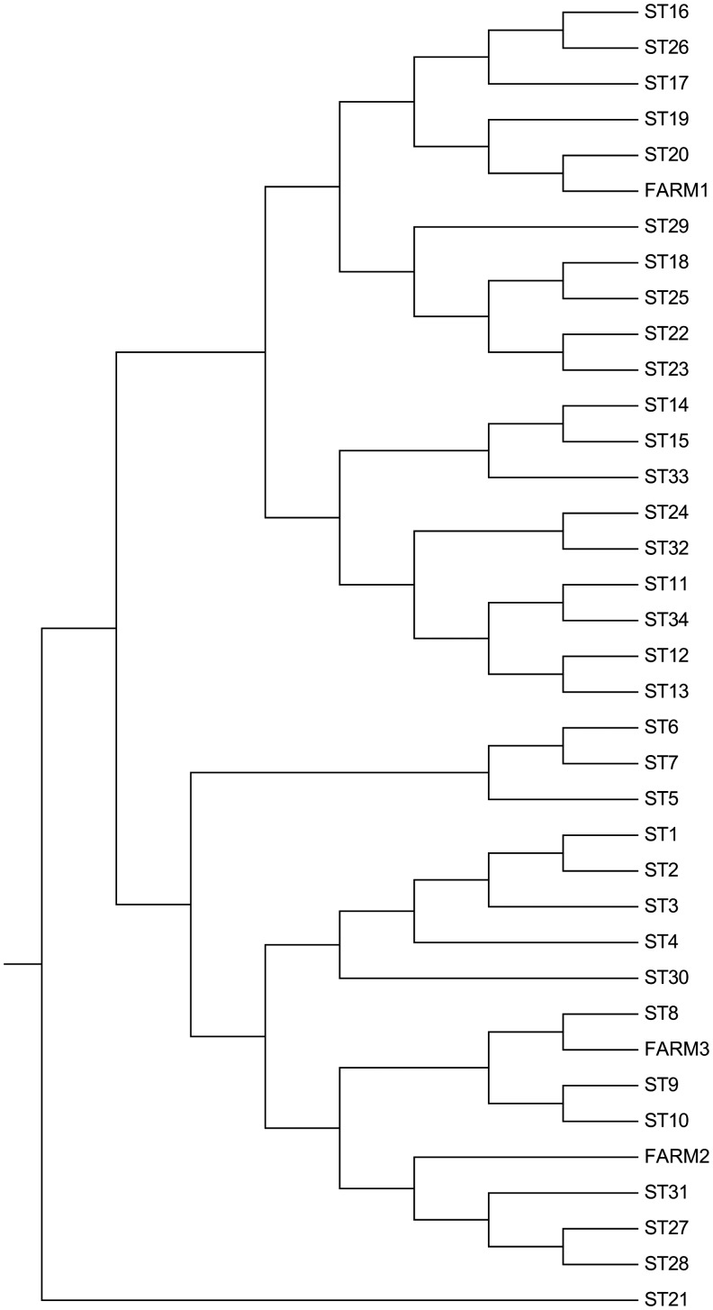 FIG. 2.