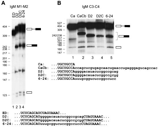 FIG. 6