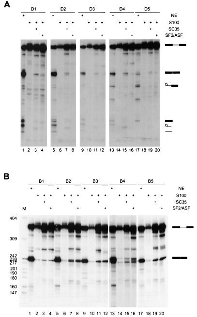 FIG. 5