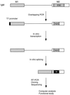 FIG. 1