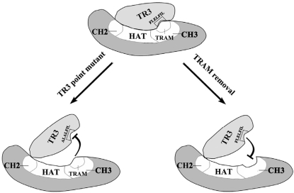 Figure 6.