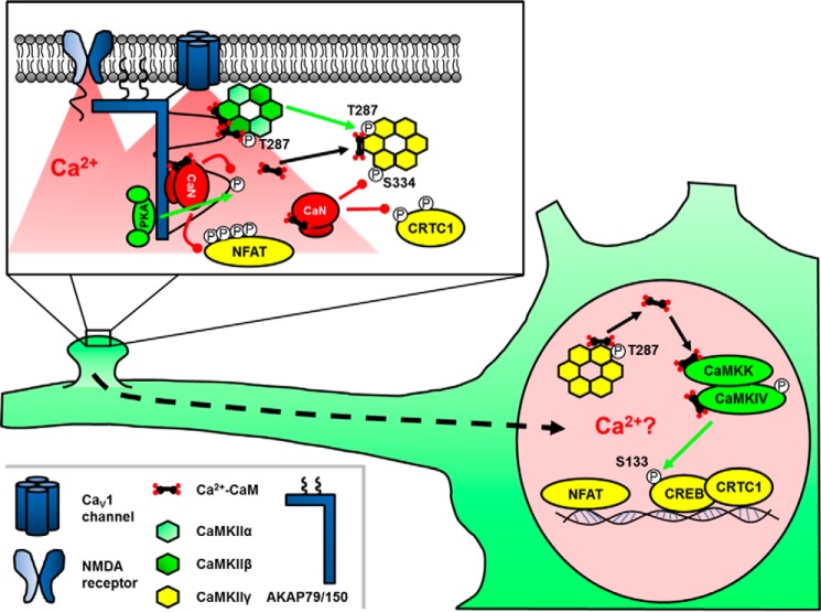 FIGURE 3.