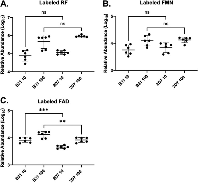 FIG 3