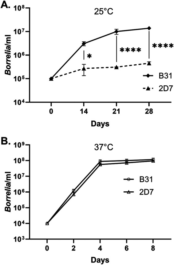 FIG 6