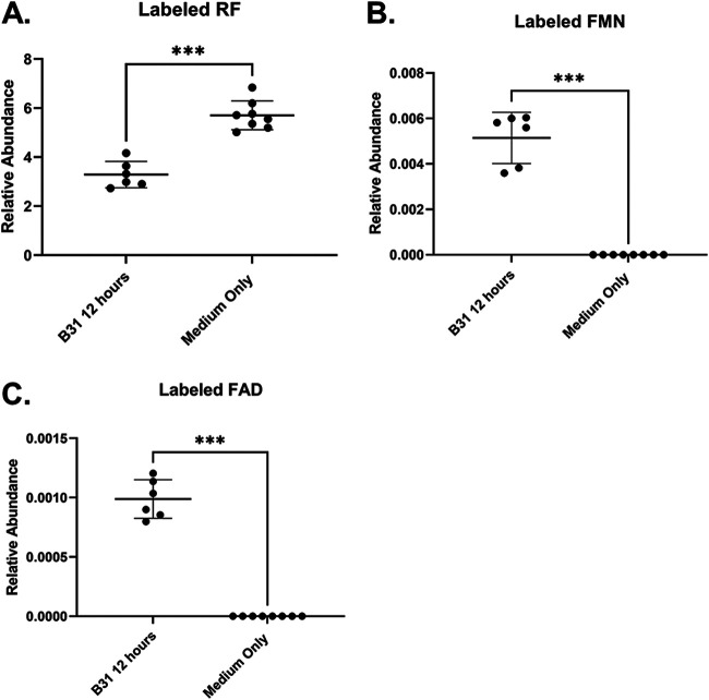 FIG 2