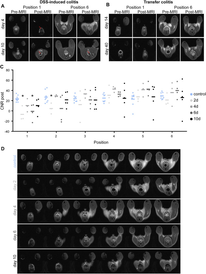 FIGURE 1