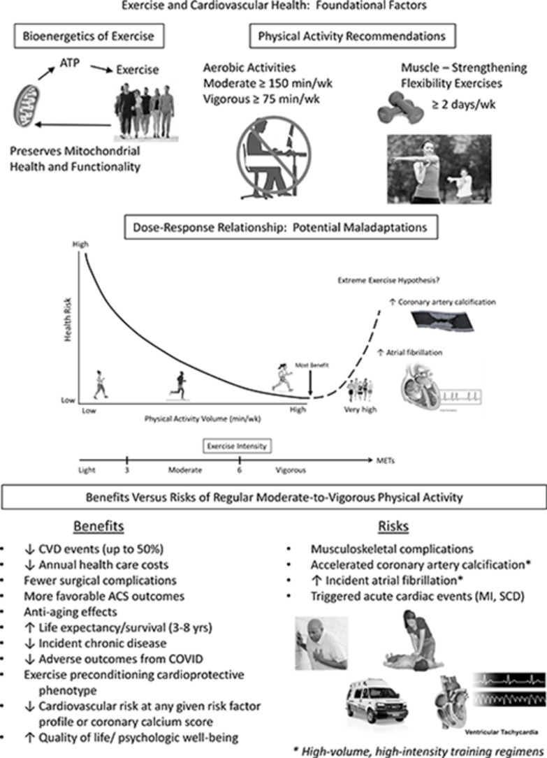 Image, graphical abstract