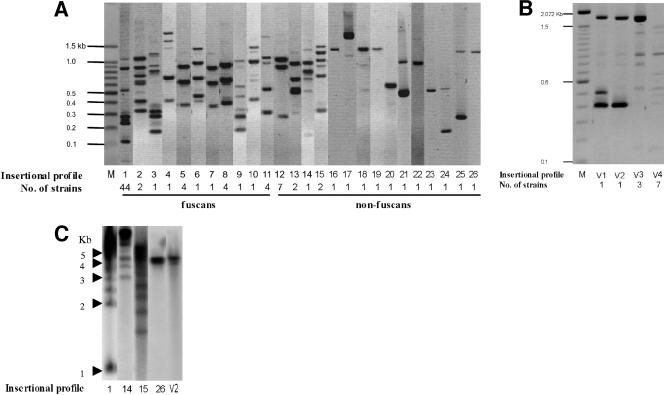 FIG. 4.