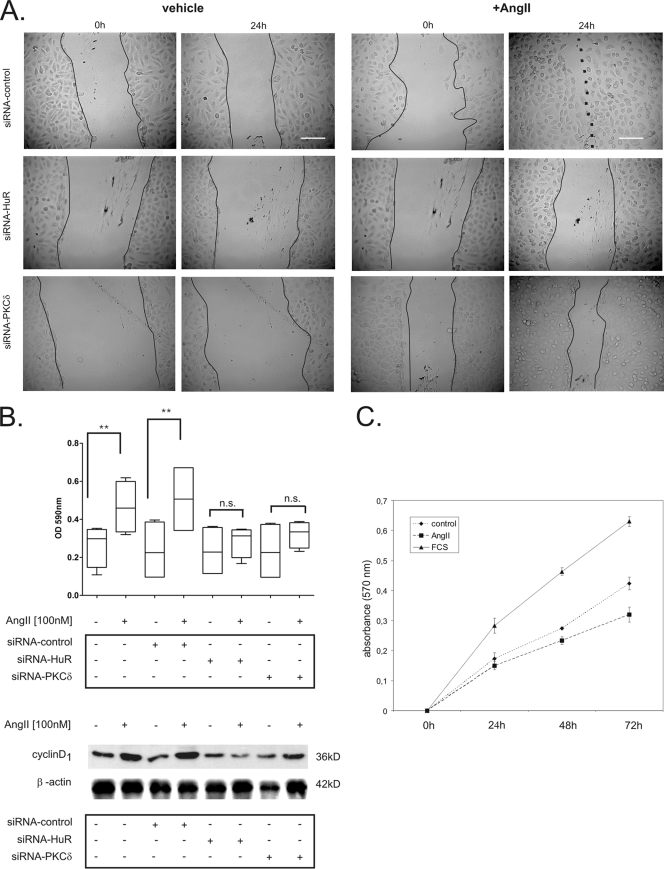 FIG. 6.