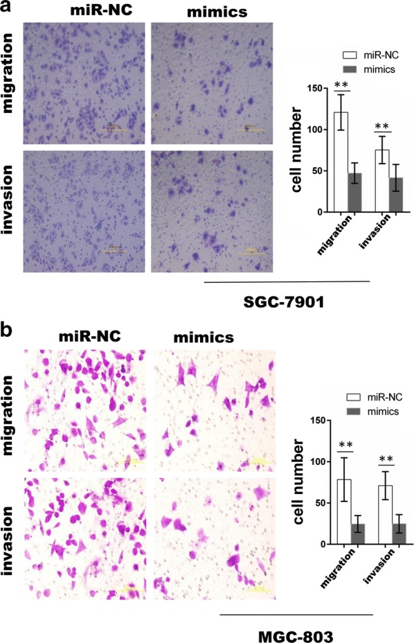 Fig. 6