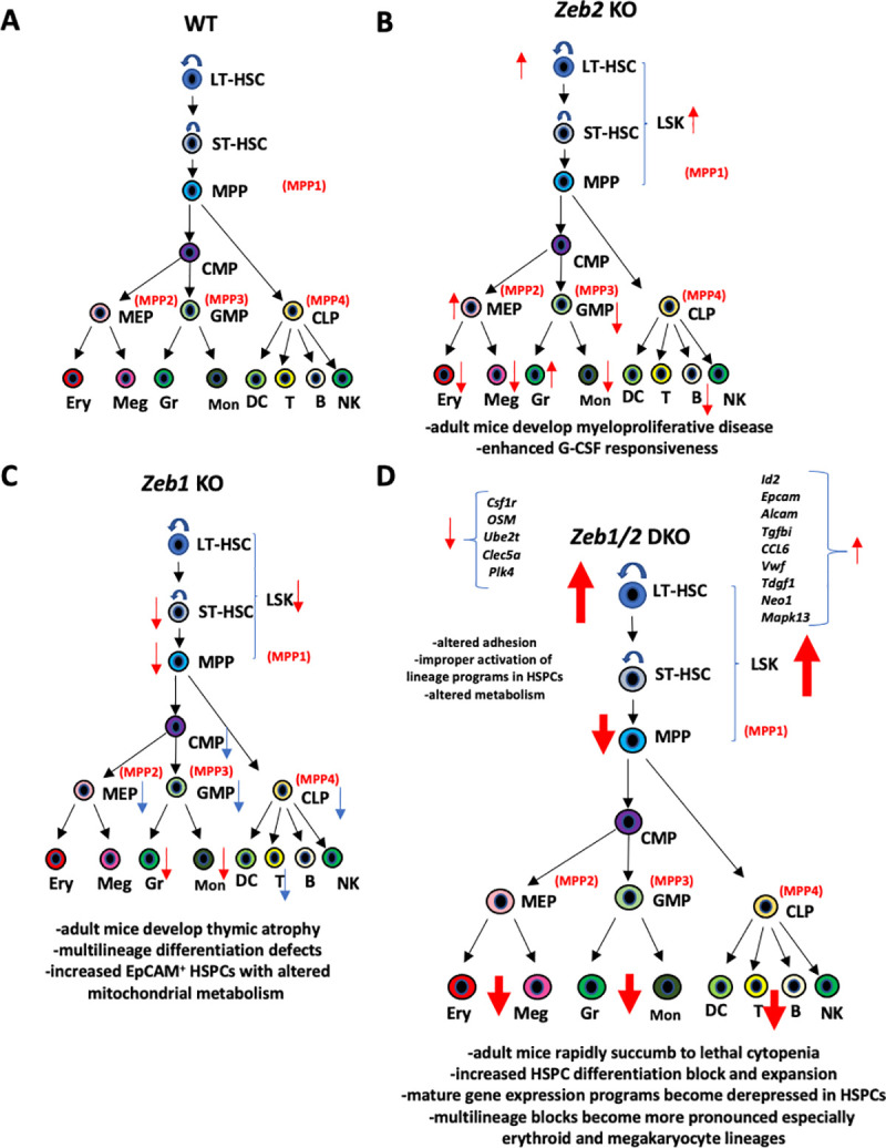 Fig 10