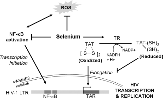 FIGURE 7.