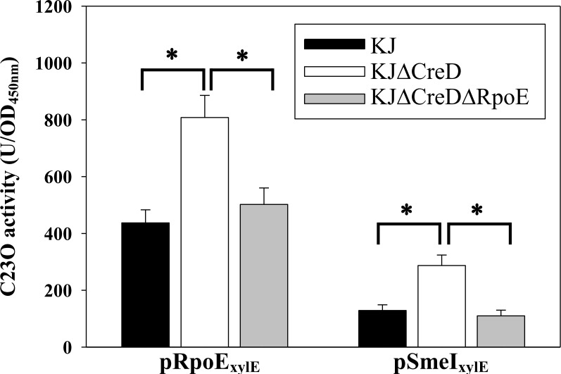 Fig 8