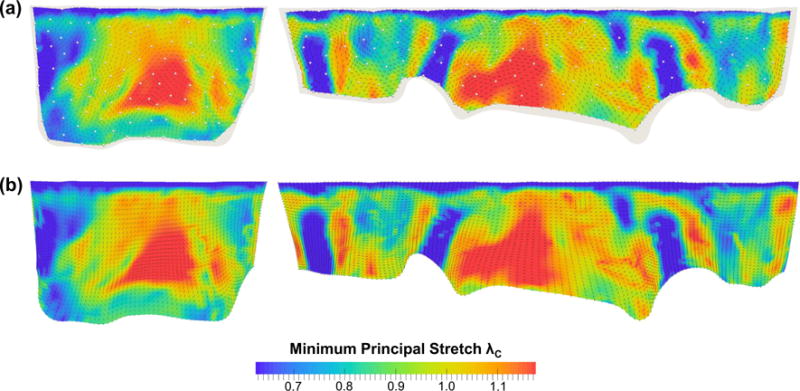 Fig. 14