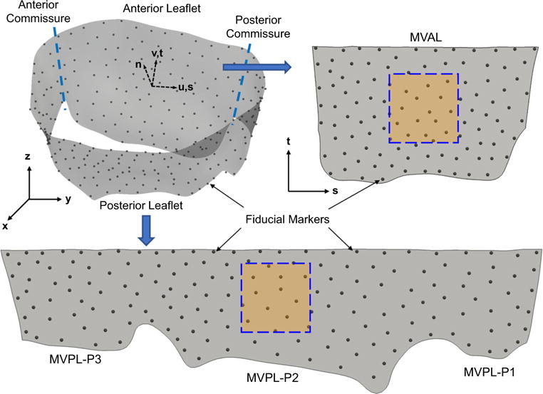 Fig. 12