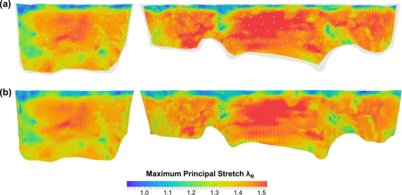 Fig. 13