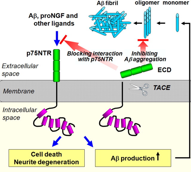 Figure 9.